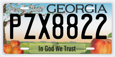 GA license plate PZX8822