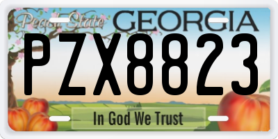 GA license plate PZX8823
