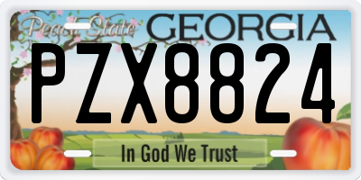 GA license plate PZX8824