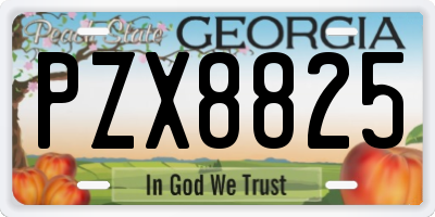 GA license plate PZX8825