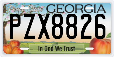 GA license plate PZX8826