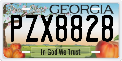 GA license plate PZX8828