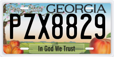 GA license plate PZX8829