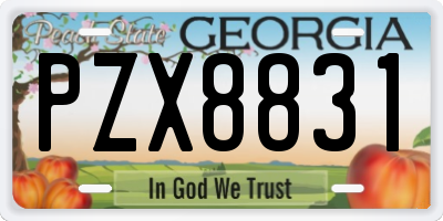 GA license plate PZX8831