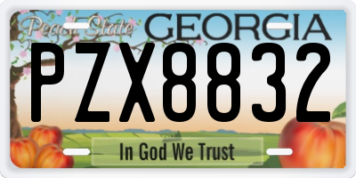 GA license plate PZX8832