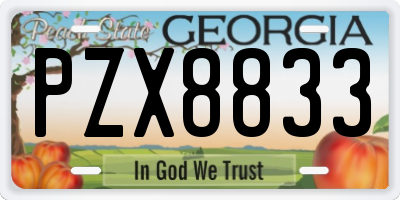 GA license plate PZX8833
