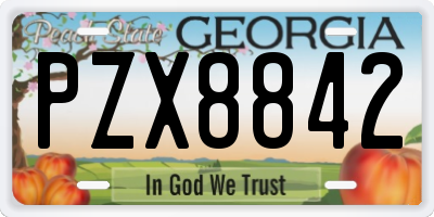 GA license plate PZX8842