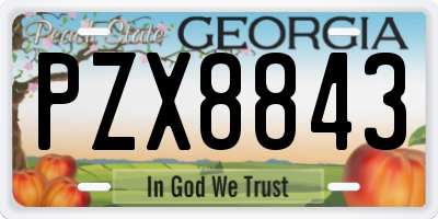 GA license plate PZX8843