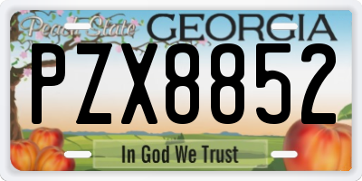 GA license plate PZX8852