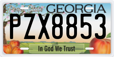 GA license plate PZX8853