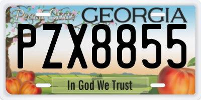 GA license plate PZX8855