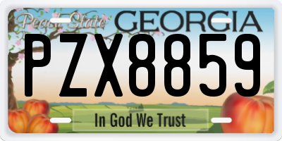 GA license plate PZX8859