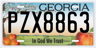 GA license plate PZX8863