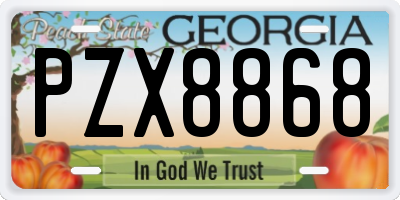 GA license plate PZX8868