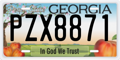 GA license plate PZX8871