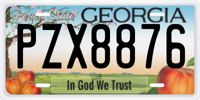 GA license plate PZX8876