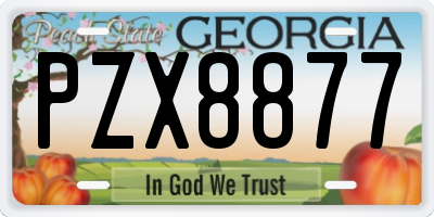 GA license plate PZX8877