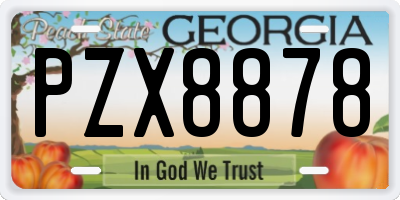 GA license plate PZX8878