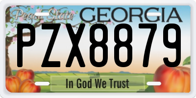 GA license plate PZX8879