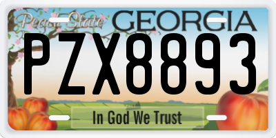 GA license plate PZX8893