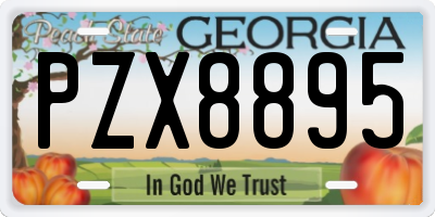 GA license plate PZX8895