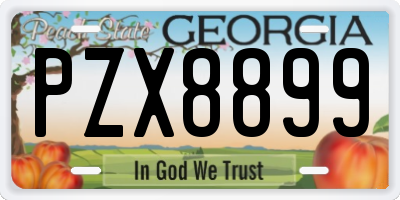 GA license plate PZX8899