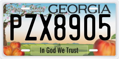 GA license plate PZX8905