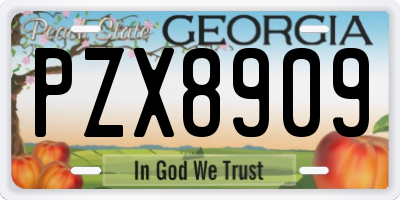 GA license plate PZX8909