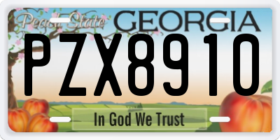 GA license plate PZX8910