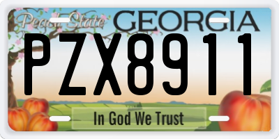 GA license plate PZX8911
