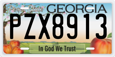 GA license plate PZX8913