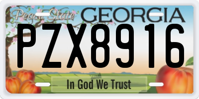 GA license plate PZX8916