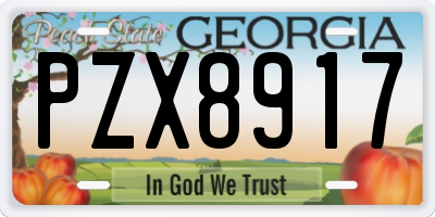 GA license plate PZX8917