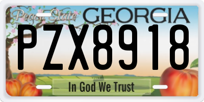 GA license plate PZX8918