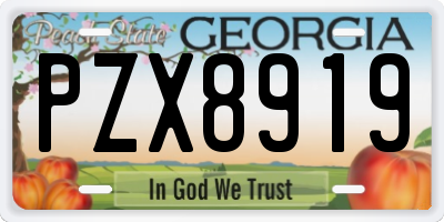 GA license plate PZX8919