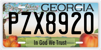 GA license plate PZX8920