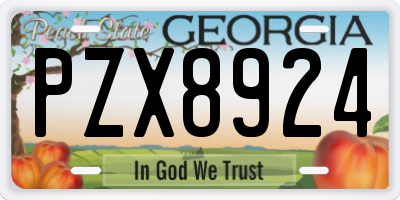 GA license plate PZX8924
