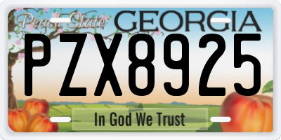 GA license plate PZX8925