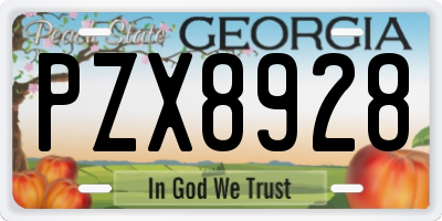 GA license plate PZX8928