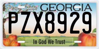 GA license plate PZX8929
