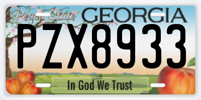 GA license plate PZX8933