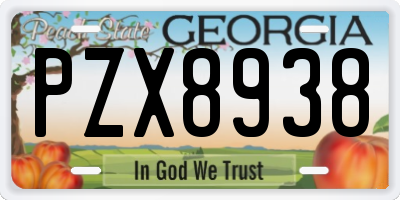 GA license plate PZX8938