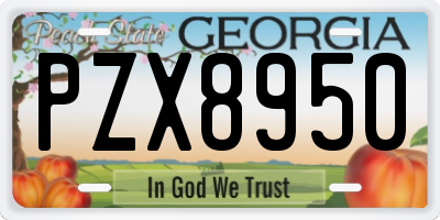 GA license plate PZX8950