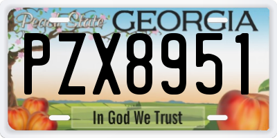 GA license plate PZX8951