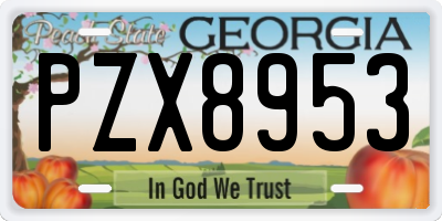 GA license plate PZX8953