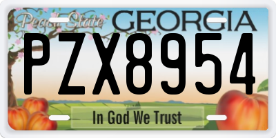 GA license plate PZX8954