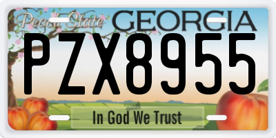 GA license plate PZX8955