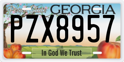 GA license plate PZX8957