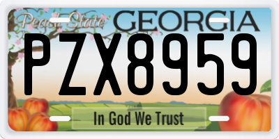 GA license plate PZX8959