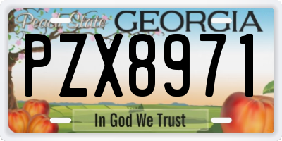 GA license plate PZX8971